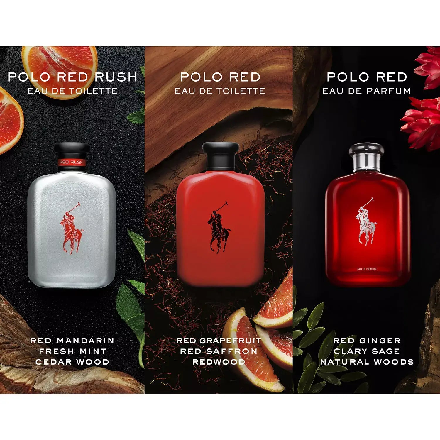 Polo Red Rush Cologne Ralph Lauren Polo Red Rush Perfume USA
